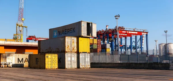 Containers and cranes in the commercial port