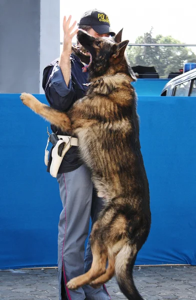 Policeman and police dog