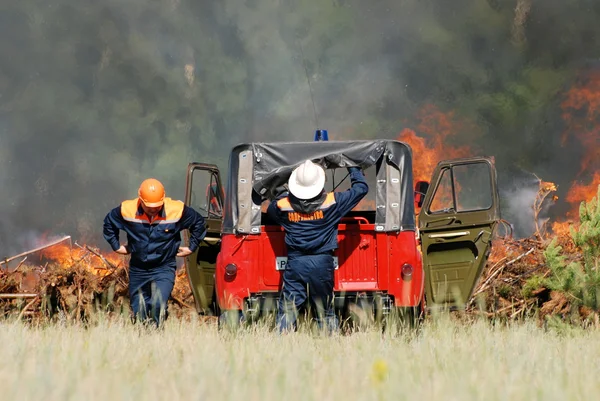 Team of firefighters extinguish a forest fire in the fores