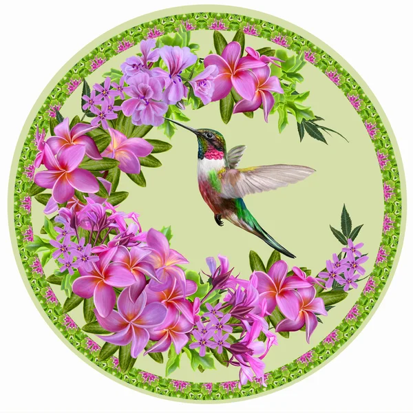 Pink plumeria, tropical exotic flower, a small bird of the hummingbird. Round form, circle, painting. Flower pattern.