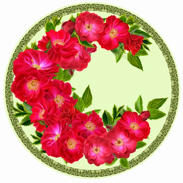 Flowers in a circle. Round form. Round floral background. A branch of red climbing roses