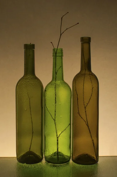 Composition with empty wine bottles and branches