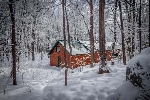 Maple sugar shack in the winter woods.