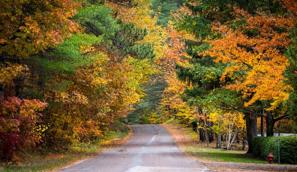 Rural roads lined with colorful autumn trees.