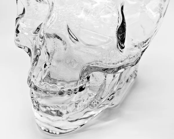 Glass Skull Head