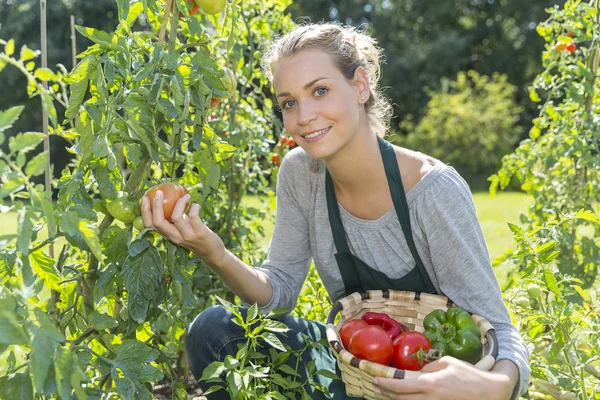 Young woman gardening in kitchen garden
