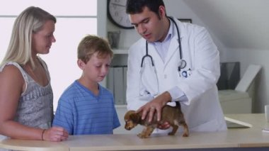 给狗看病的医生 - 图库视频影像 VIAfilms #658