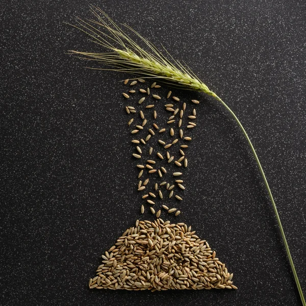 Grains of rye fall out ears