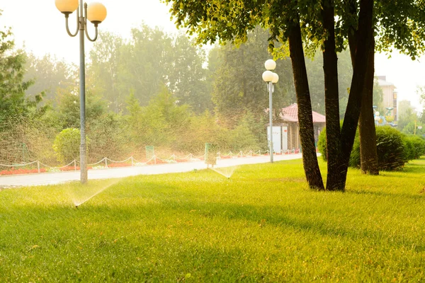 Watering lawns in the park