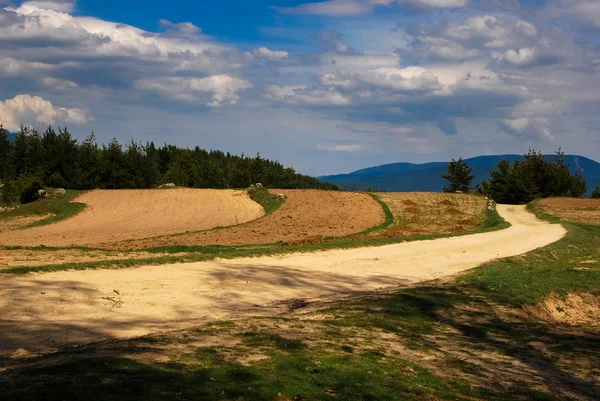 Mountain fields.