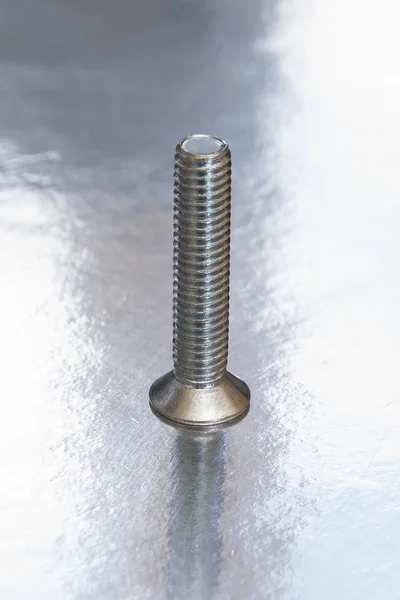 Silver screw. Color white. On a white background silver.