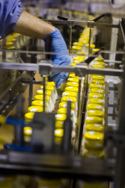 Worker conducts quality control at conveyor belts