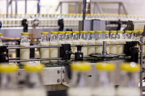 Conveyor with milk bottles.