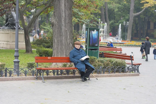 City park an elderly man sits on a bench reading a newspaper