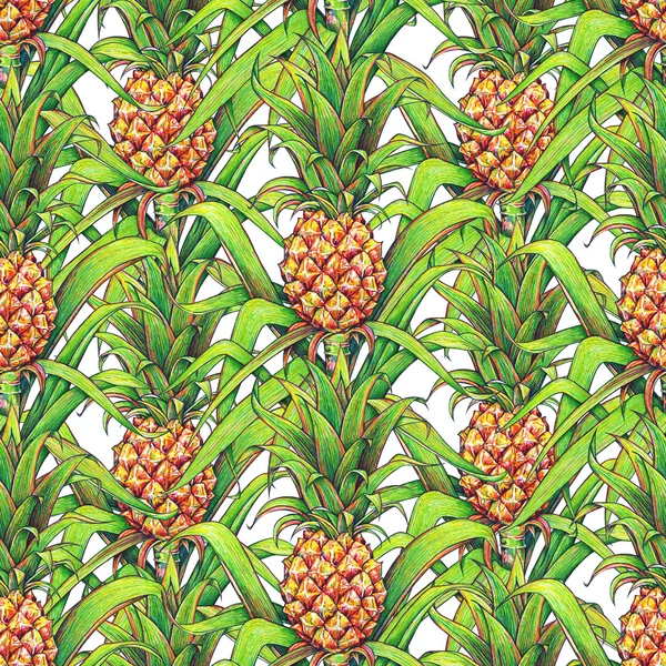 Pineapple with green leaves tropical fruit growing in a farm. Pineapple drawing markers seamless pattern on a white background. Color drawing markers for design. Handwork. Tropical fruit