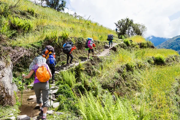 A group of people hiking through a scenic terrace plantation in Nepal