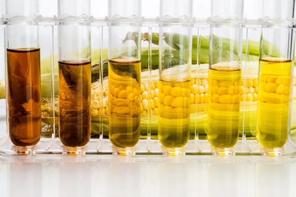 Corn generated ethanol biofuel with test tubes on white backgrou