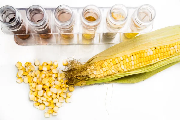 Corn generated ethanol biofuel with test tubes on white background