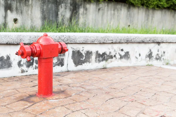 Red fire hydrant at  busy walk pavement ready for emergency
