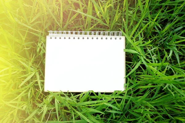 Blank paper calendar page on nature field of green grass