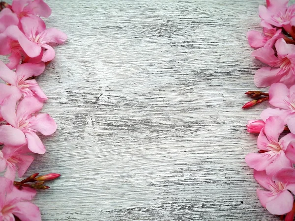 Pink flower border and frame on white wooden background