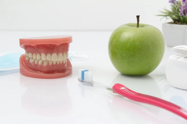 Dental mold with toothbrush and a apple.