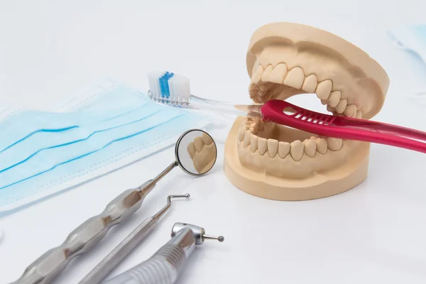 Open dental mold of teeth with implements