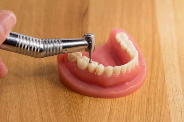 Dental hygienist demonstrating polishing teeth