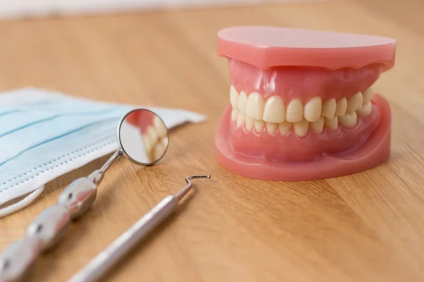Set of false teeth with dental tools