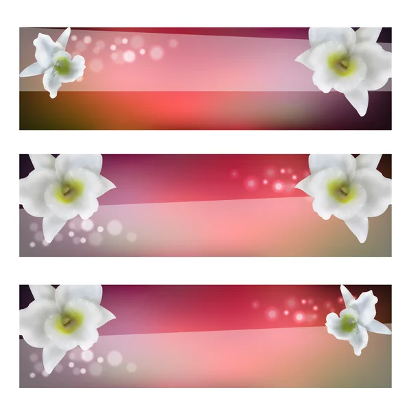 Flower header with blossom orchid
