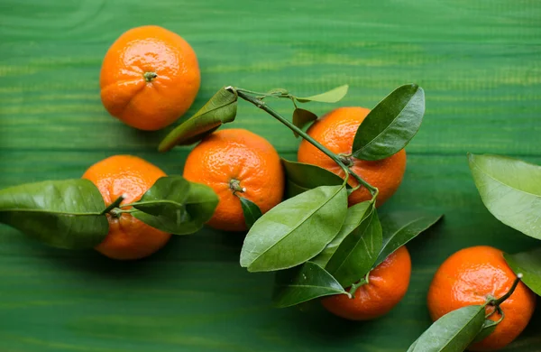 Fresh picked tangerine clementines on wooden green table.