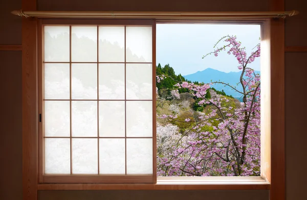 Wooden Japanese sliding window and beautiful weeping cherry tree outside