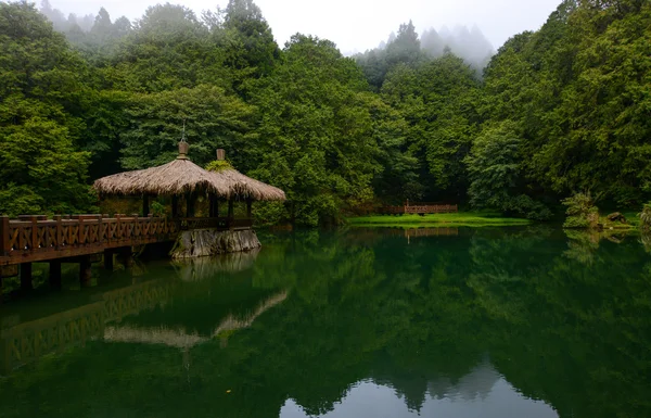 Elder Sister Pond and gazebo at Alishan National Forest in Chiayi District, Taiwan