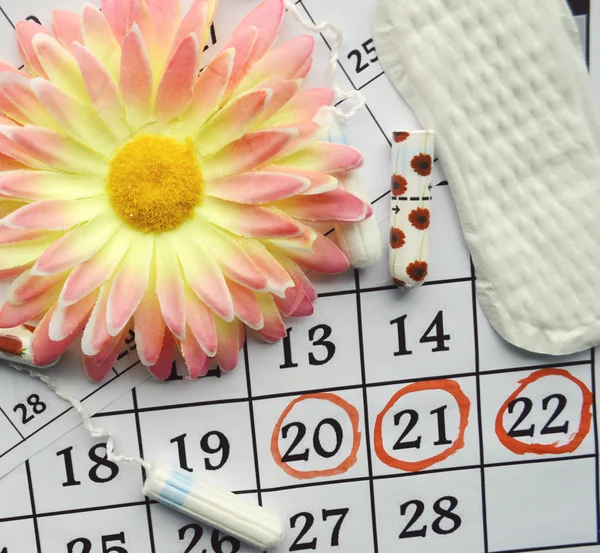 Menstruation calendar with cotton tampons, orange gerbera and sanitary pads