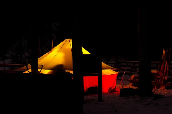 Illuminated Camping tent at Night