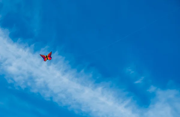 Flying Butterfly on Blue Sky - Stock Image - Everypixel