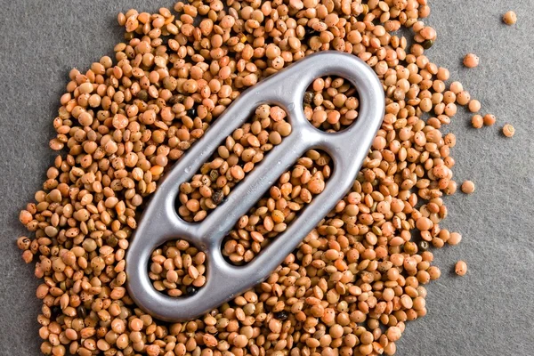 Brown lentils with climbing equipment representing good diet