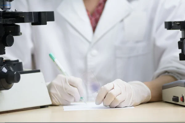 Scientist hold slide in left hand and write something down on pi