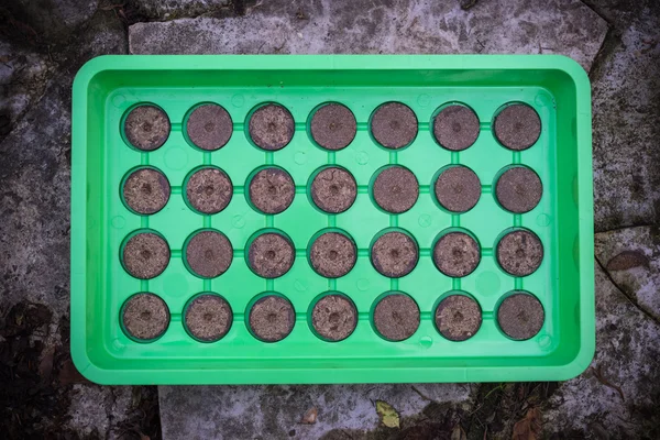 Aerial view many dry planter peat pellets in green tablet