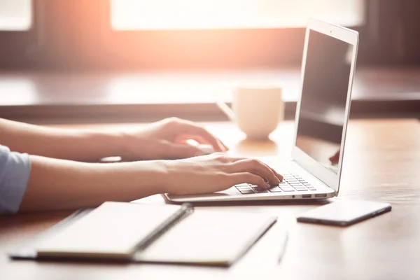 Cropped view of a female student\'s hands keyboarding on the laptop with copy space for your text message or promotional content while enjoying evening at home after lecture at university