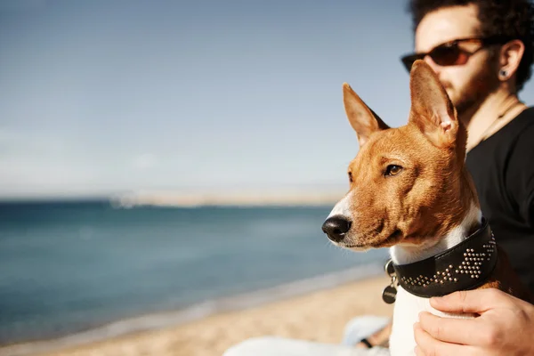 Close up portrait man in sunglasses sitting in beach in spring