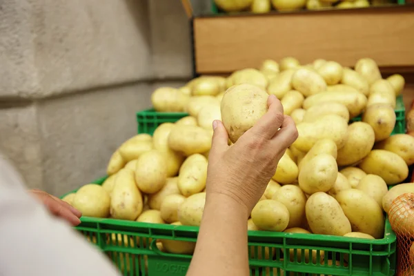 Woman stretching hand with big potato