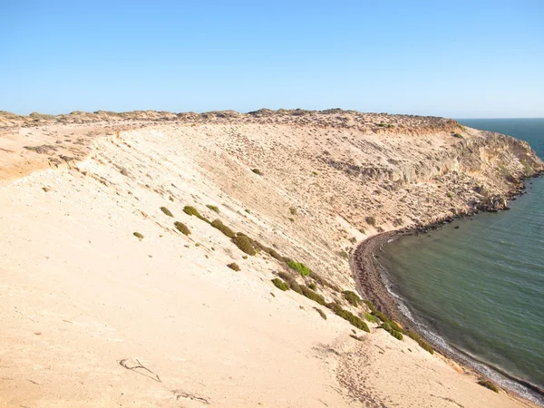 Eagle bluff, shark bay, western australia