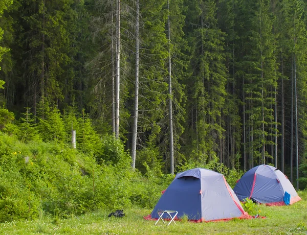 Two tents are in the woods.