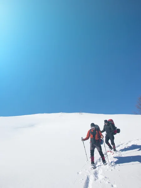 Men go snowshoeing in the mountains in the snow.