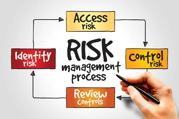 Risk management process