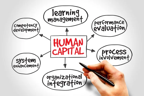 Human capital
