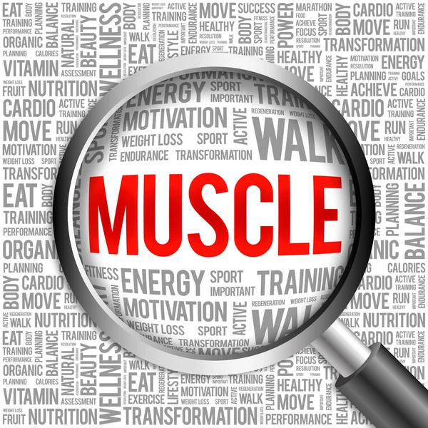 Muscle word cloud with magnifying glass