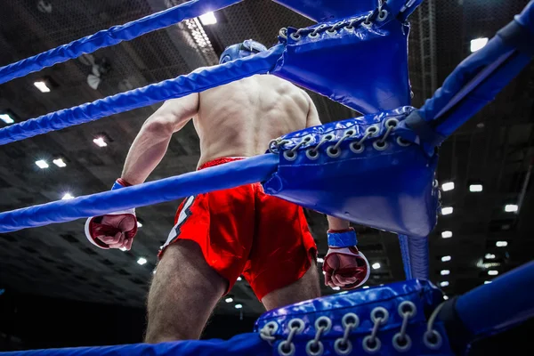 Fighter boxer in corner of ring