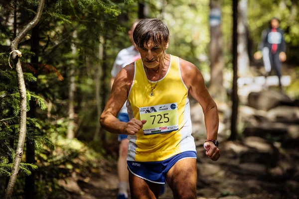 Athlete older male athlete running in woods